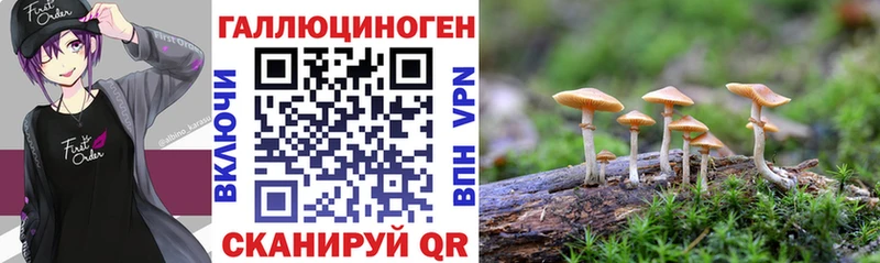 Псилоцибиновые грибы ЛСД  Купить  Лесной 